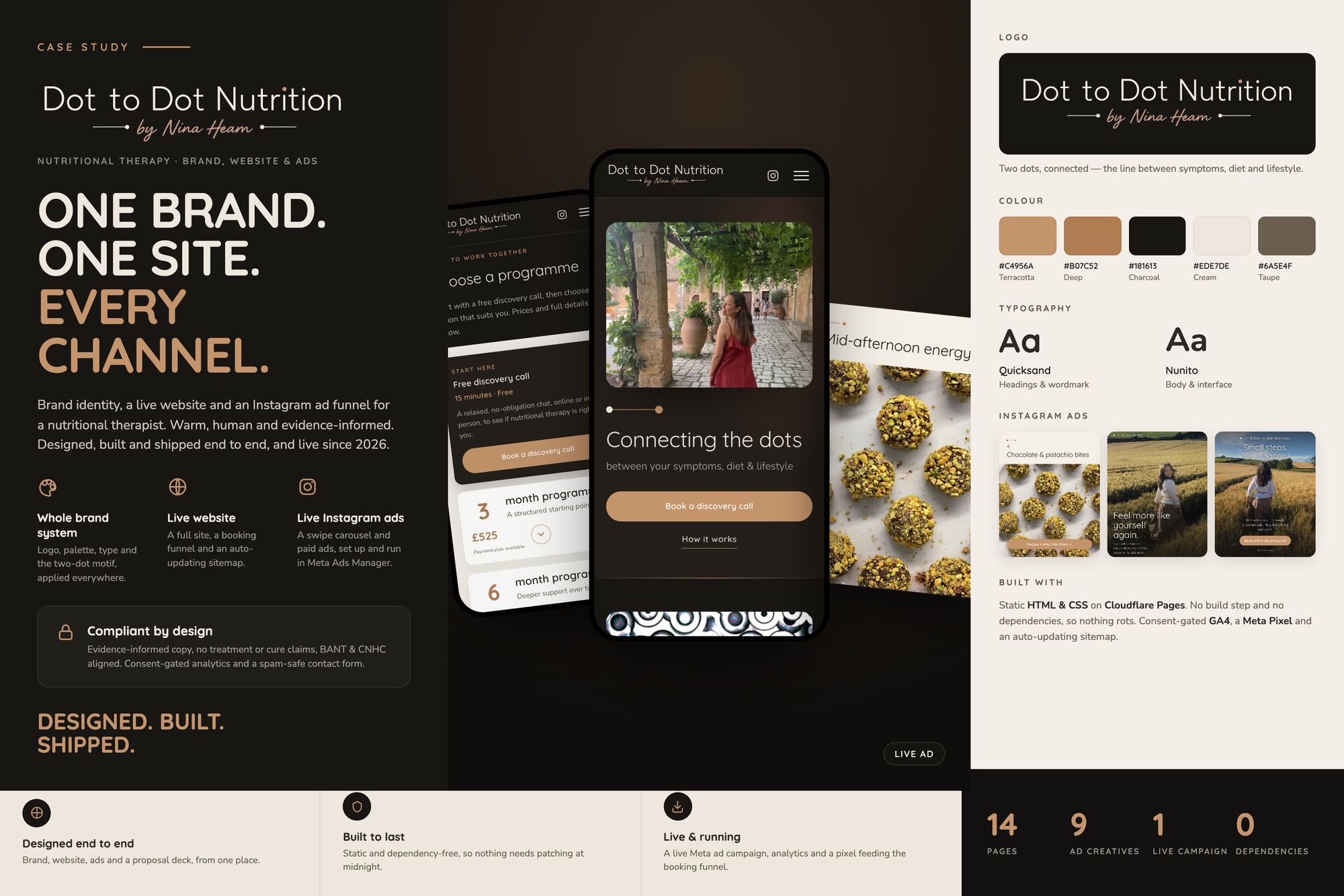 Dot to Dot Nutrition case study: brand, website and Instagram ad funnel